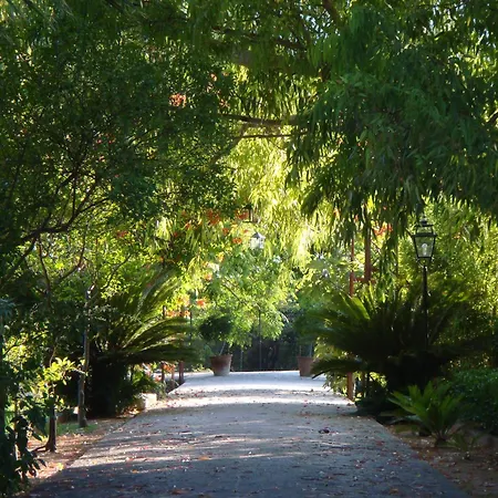 Finca Cas Sant-2
